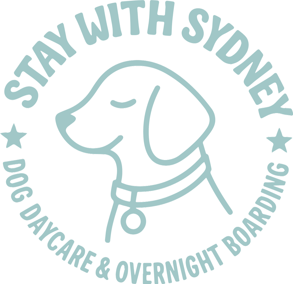 Stay with Sydney — Dog Daycare and Overnight Boarding, Somerville MA